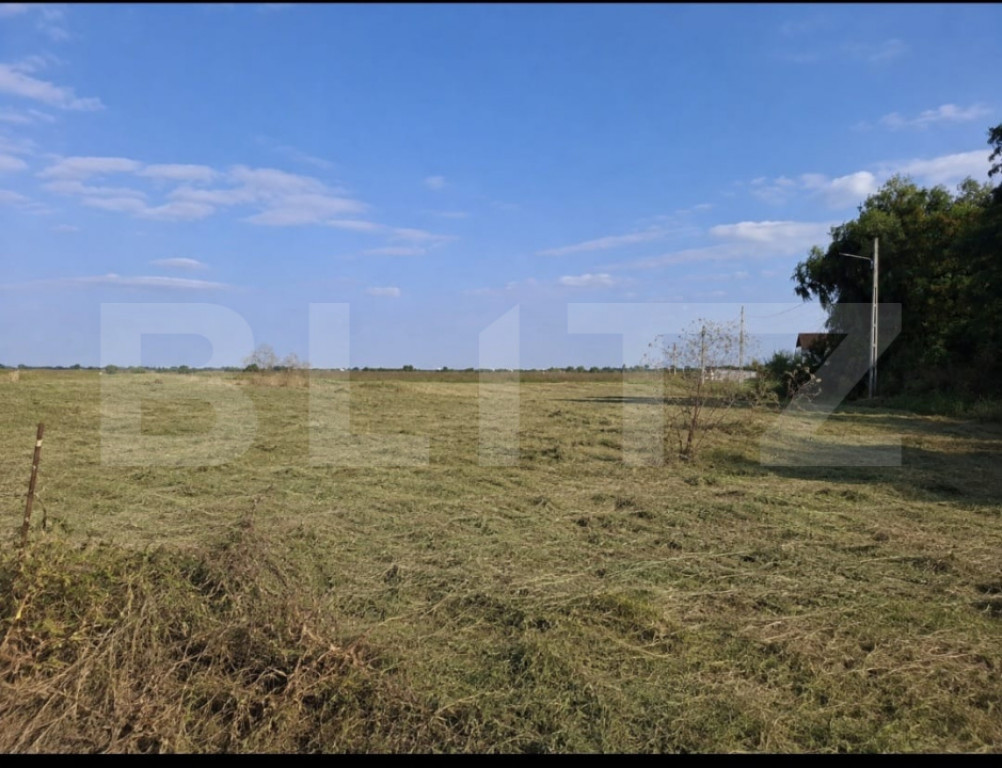 Teren intravilan 2.500 mp | Oportunitate rară pentru locuin