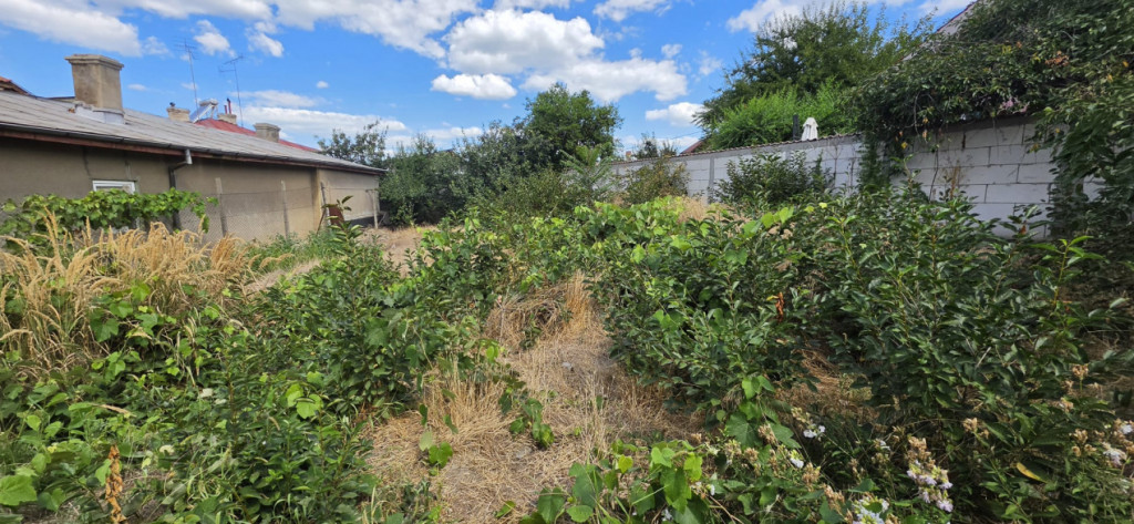 TEREN INTRAVILAN - ZONA AVRAM IANCU -SUPRAFATA 251 MP, DESC