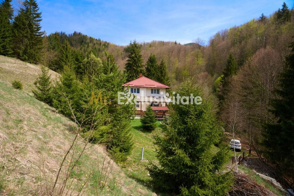 Casa Dambovicioara - CASA de vacanta sau PENSIUNE profita...