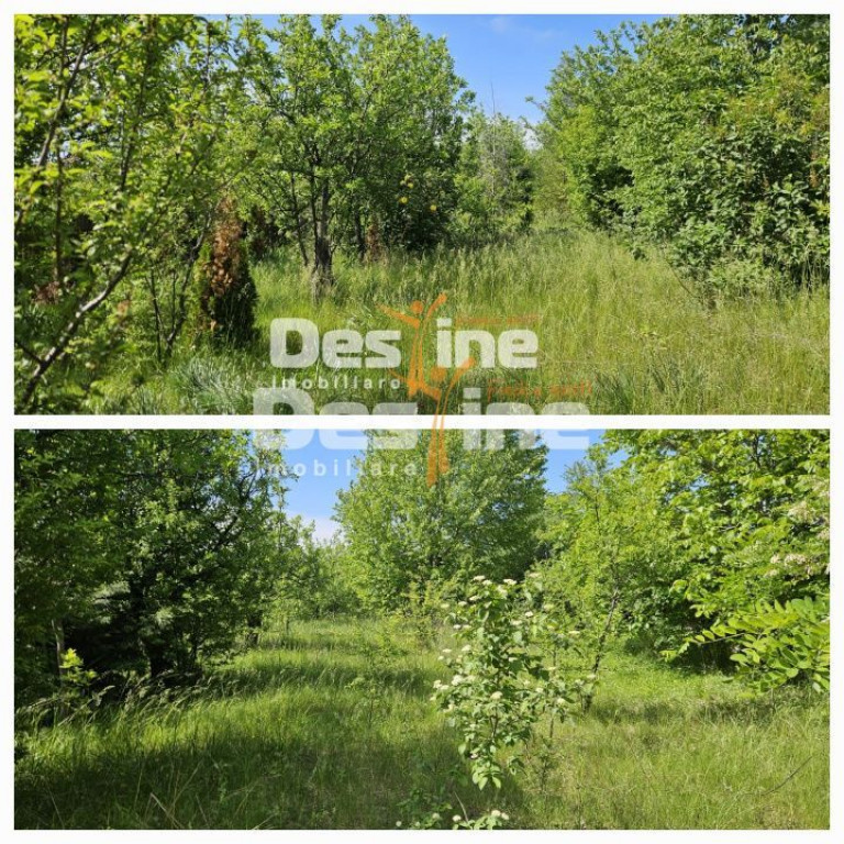 Tomesti-Chicerea, teren intravilan 3523 mp
