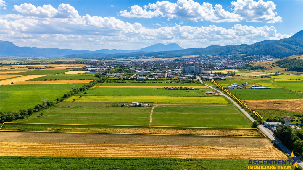 Teren 17.900 mp cu PUZ aprobat – Sânpetru | Dezvoltare re