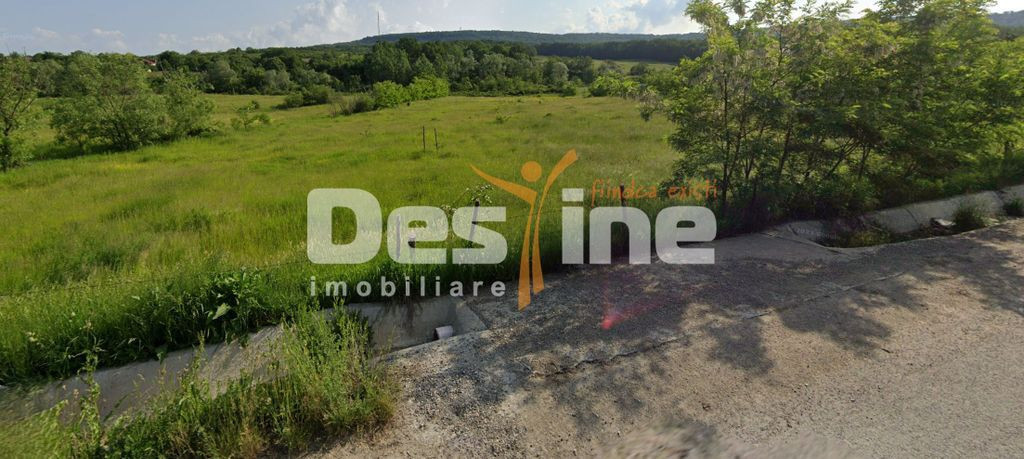 Teren intravilan 8000mp, Comuna Bârnova Iași