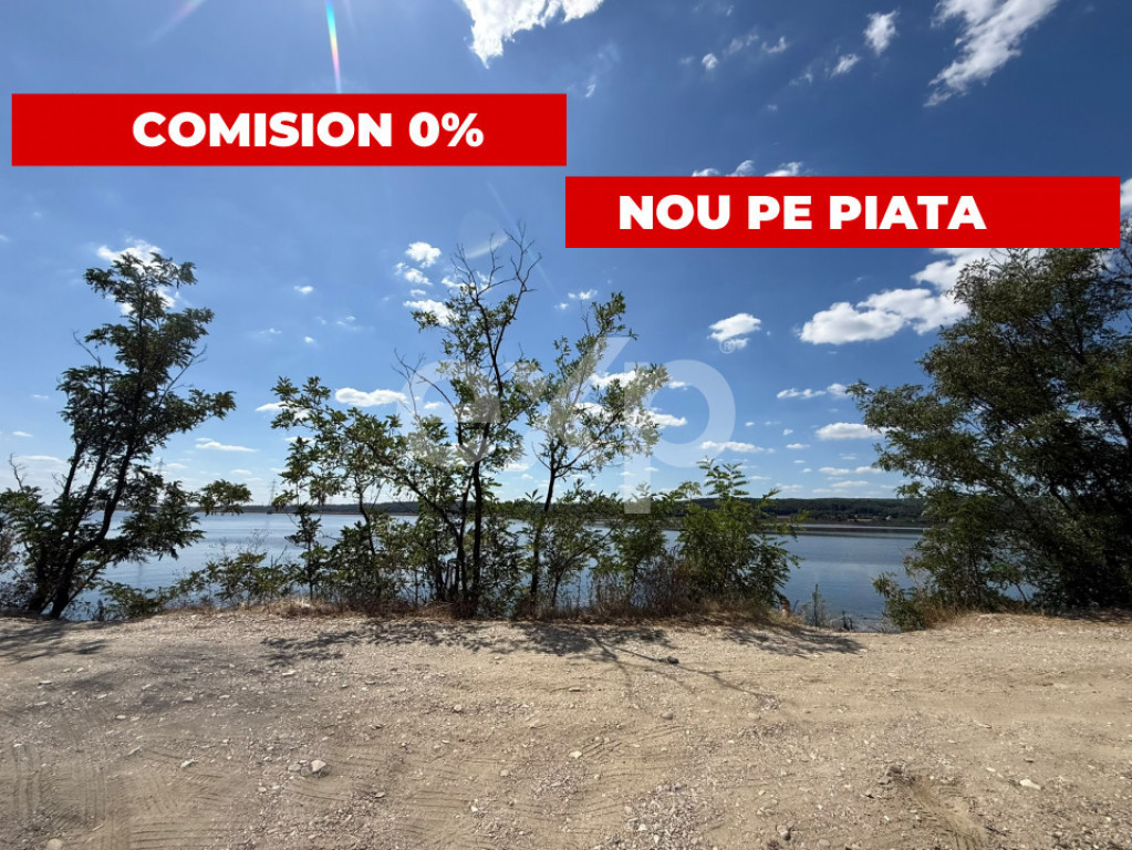 Teren 14.000 mp în Budeasa cu vedere superbă către baraj