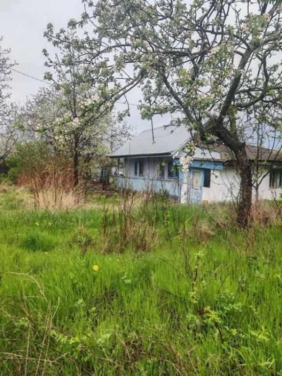 Teren intravilan in suprafata de 3160 mp, Puscasi, Poiana...