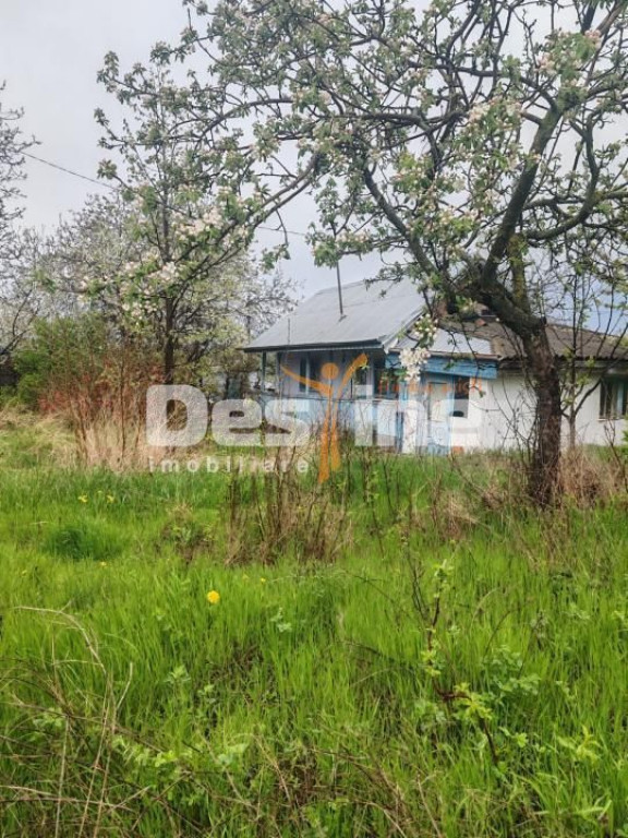 Teren intravilan in suprafata de 3160 mp, Puscasi, Poiana...