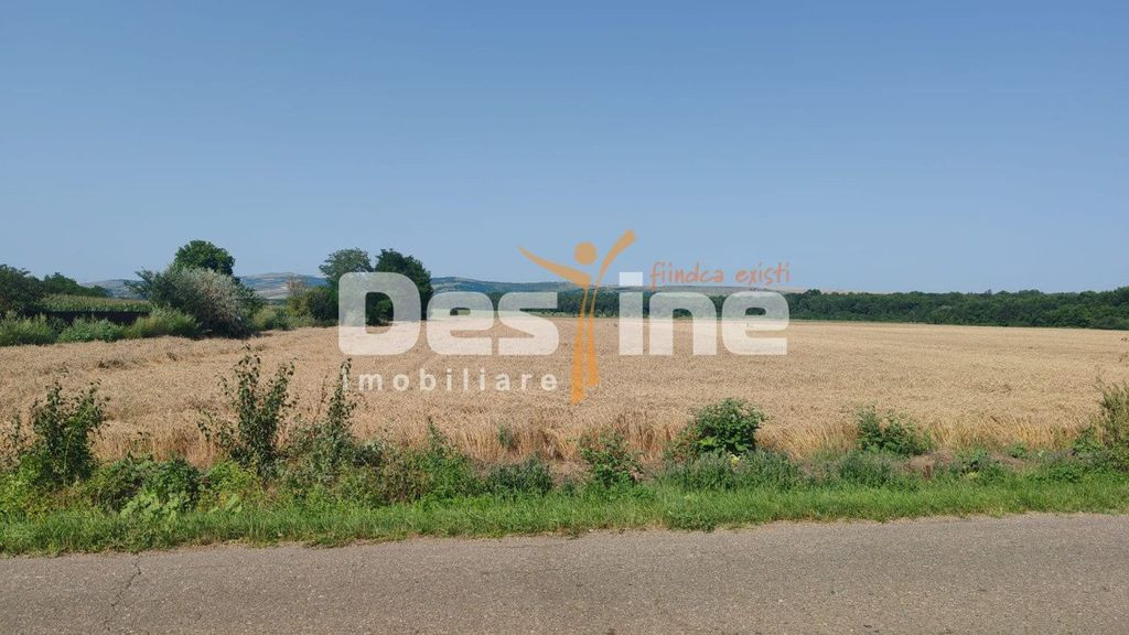 Teren extravilan Balteni, Vaslui, la limita intravilanului