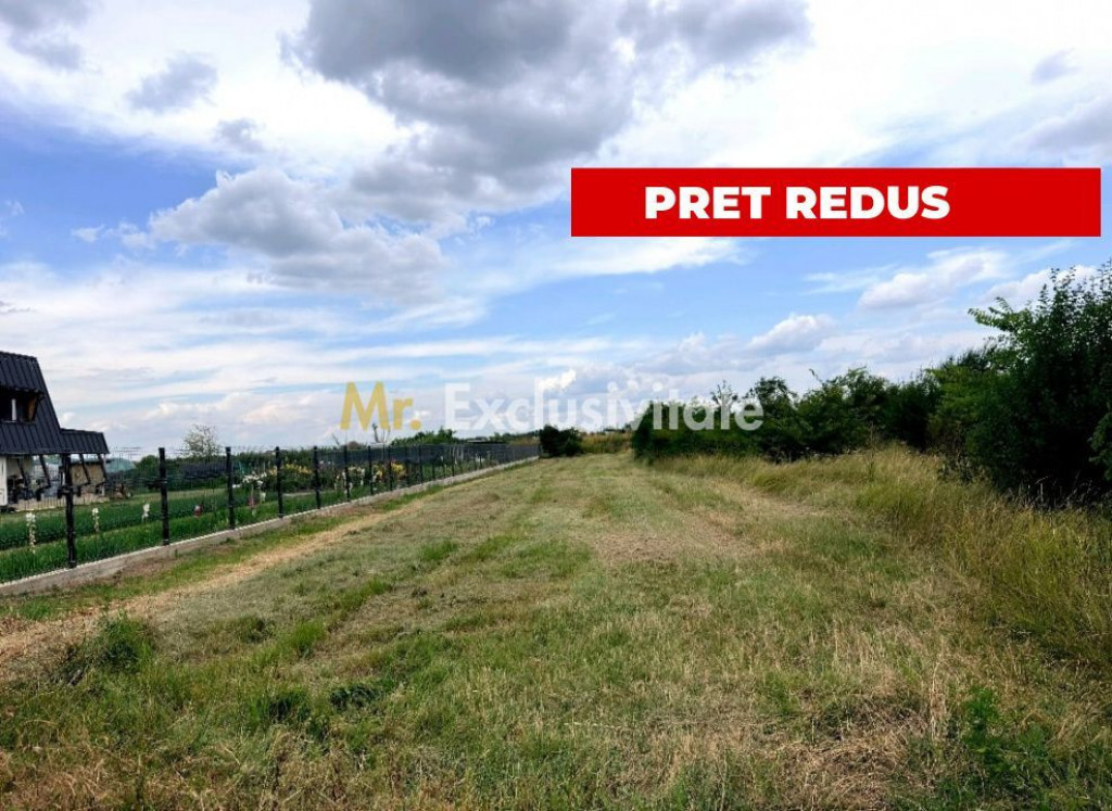 Teren de vanzare in Comuna Bradu – 1.374 mp | Deschider...
