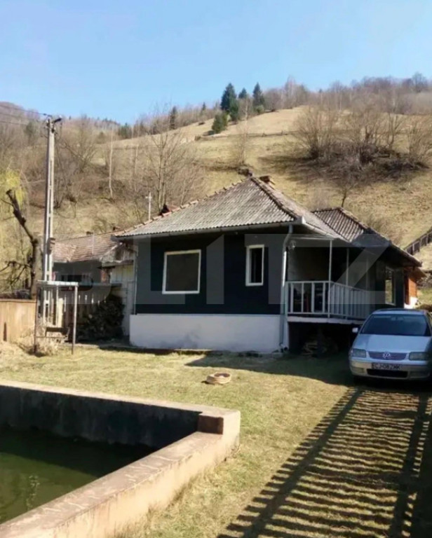 Cabana cu piscina si sistem fotovoltaic, 60 mp, zona Maguri