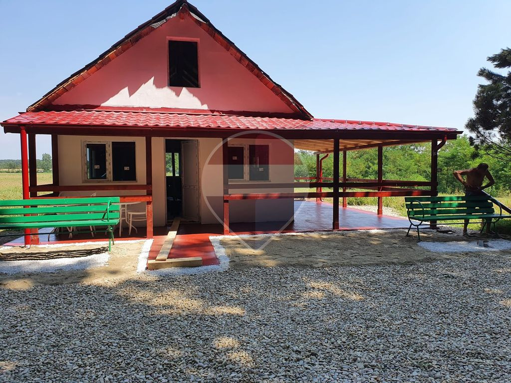 Casă de vacanță cu farmec aparte langa Padurea Scrovis...