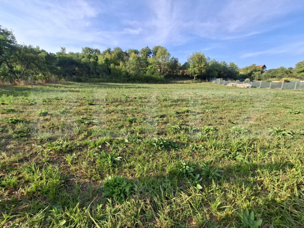 Teren intravilan, 906 mp, front 15 m, zona Poienița