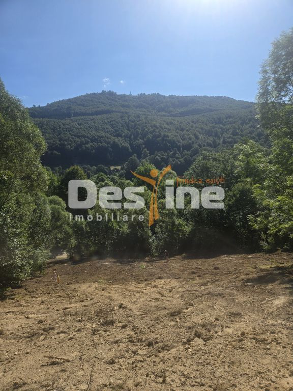 Teren Valea Doftanei, zona Pe Vale - Baraj Paltinu