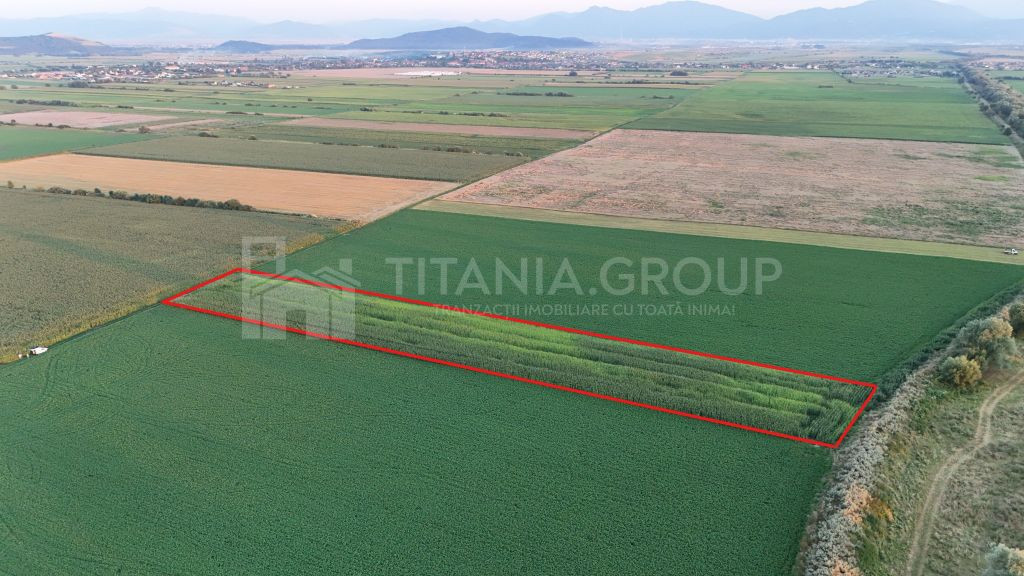 Teren extravilan, 8700 mp, pretabil agricultură sau inve...