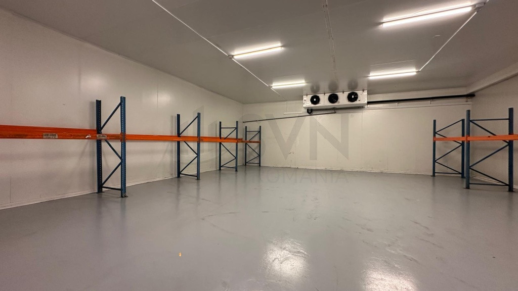 Hala de inchiriat Ovidiu l 1741 mp