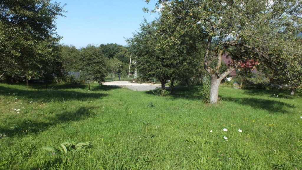 Apartament cu terasa cat o gradina, trei boxe si doua locuri