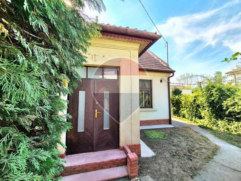 O casă cu aer boem, la câțiva pași de Mureș