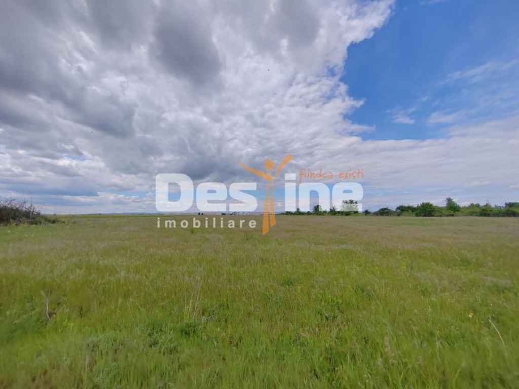 Teren extravilan, 114000 mp, Parc industrial West Park
