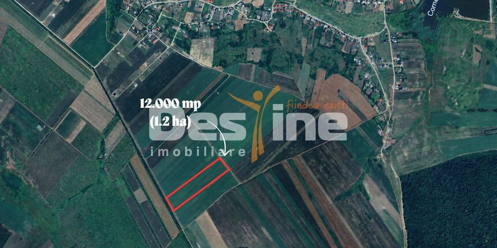 PROSELNICI – Teren extravilan 12.000 mp
