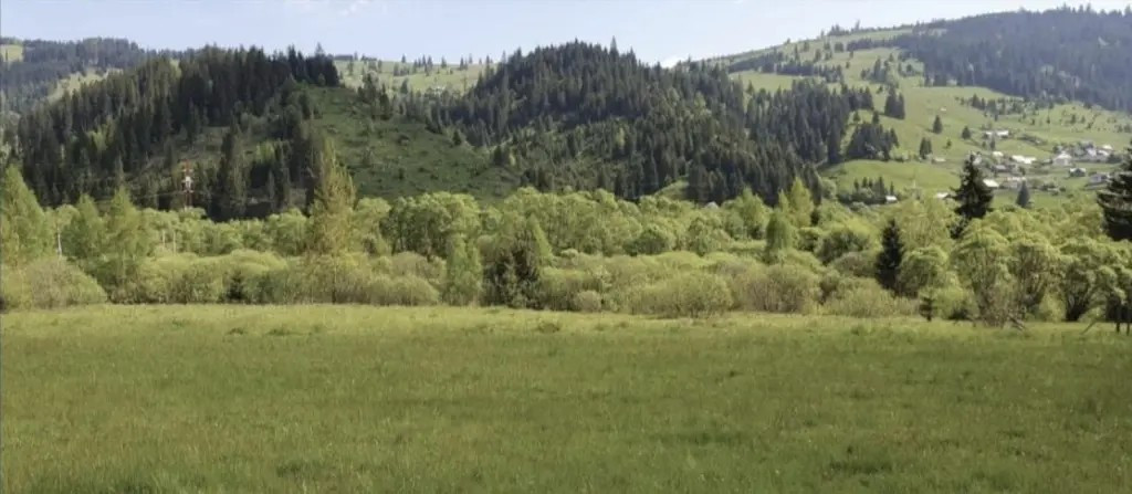 Vand teren in Vatra Dornei (strada Rosu) 1000mp