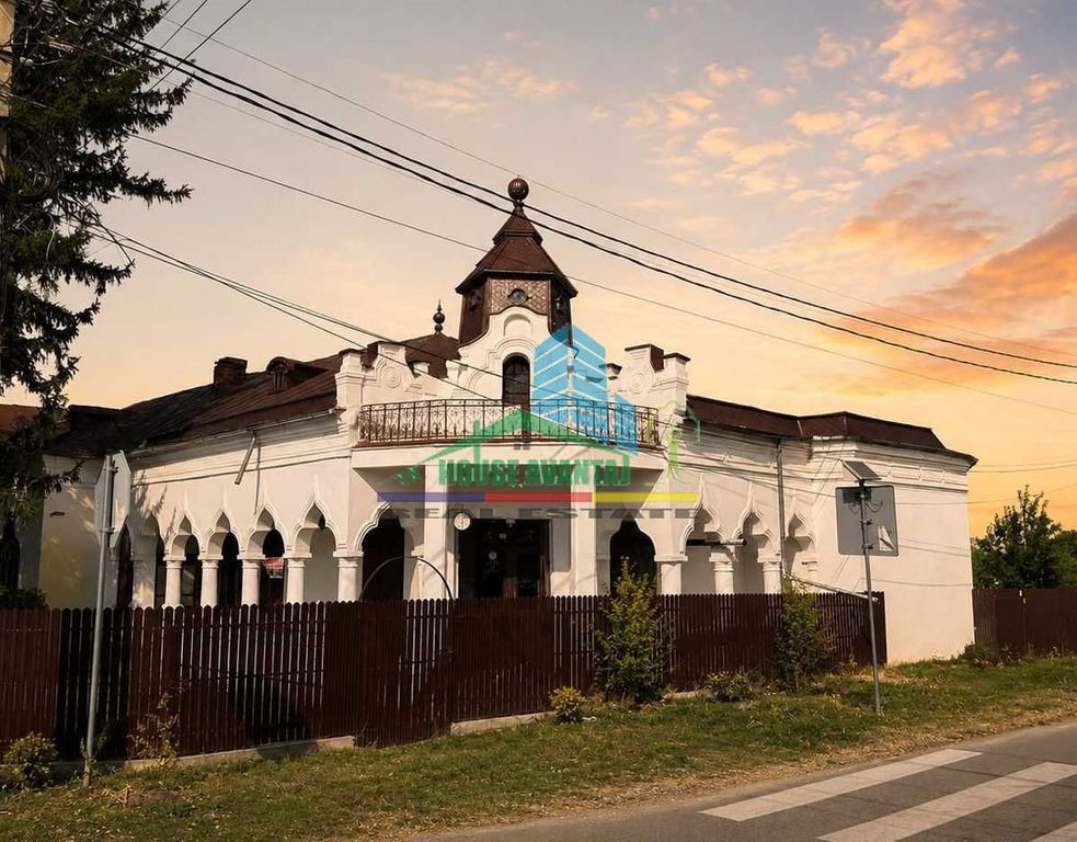 Conac istoric Copanescu, 1925 – proprietate unică cu ...