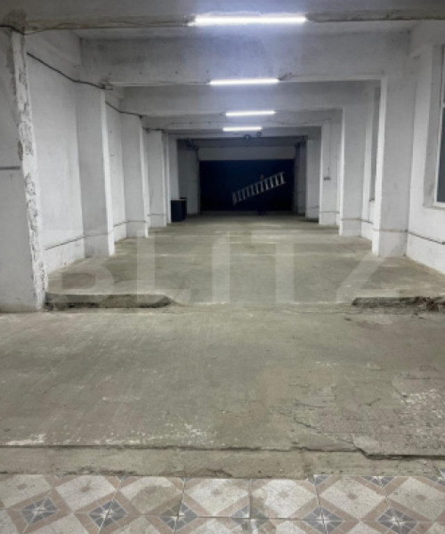 Hala în suprafață de 100 mo