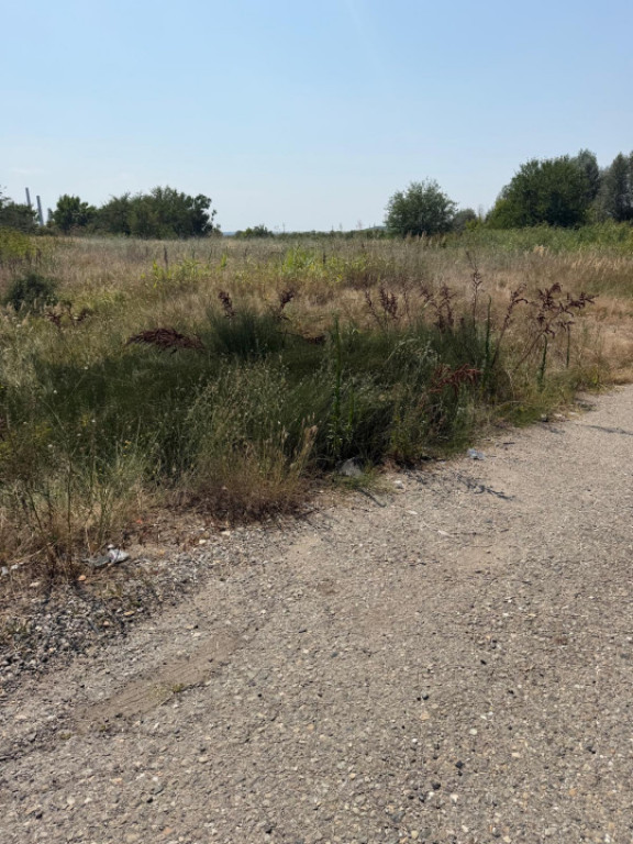 Teren intravilan, 4950 mp, deschidere 100 m la E70, zona Isa