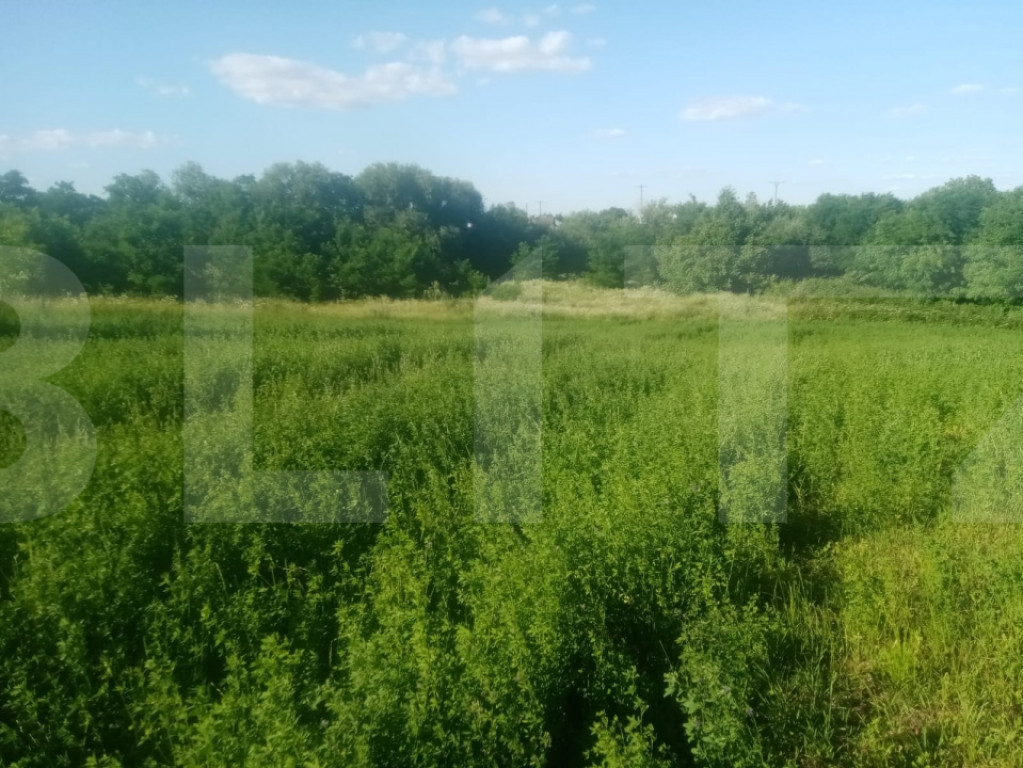 Braesti,jjud Botosani 3700 mp teren intravilan
