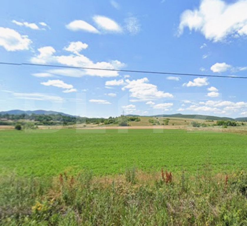 Teren agricol de vanzare, 4.000 mp, zona Valea Bogății