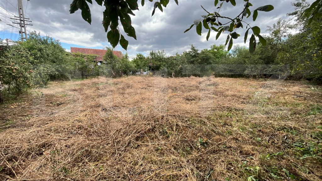 Casă cu teren intravilan de 1256 mp în Dumbrava, județul