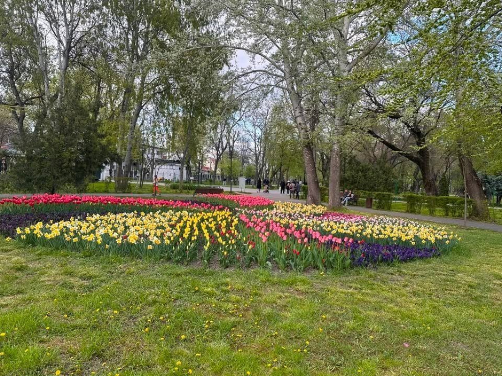 De inchiriat apartament cu 2 camere, etaj 2, Gradina Publ...