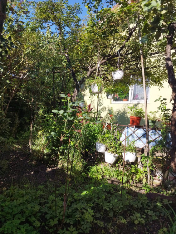 Casa individuala , cu 477 mp Dambu Rotund , Cluj