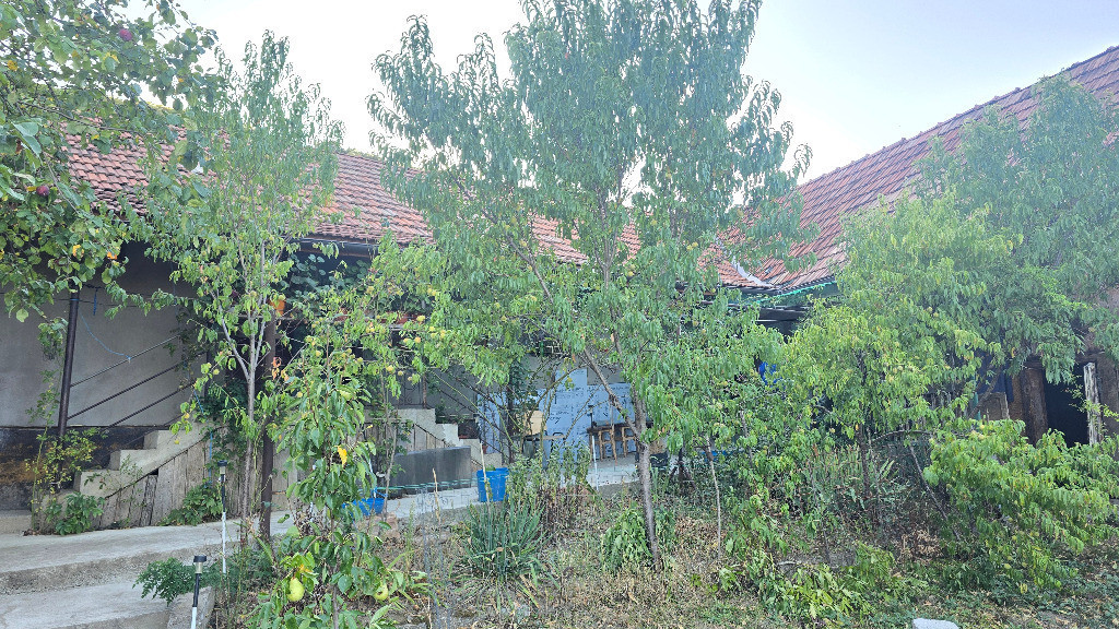 Vand casa in Deva, zona Viile Noi, suprafata totala de teren de 766 mp