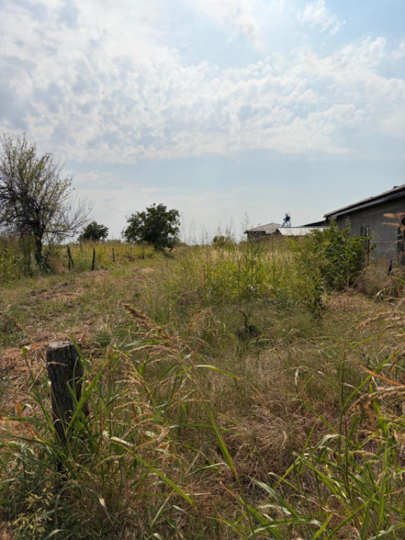 Teren intravilan 1.000 mp în Malu Mare, ideal pentru constr