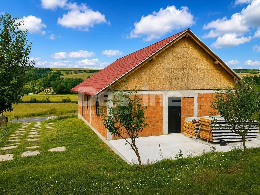 Constructie la rosu si teren 1000 mp, Zapodeni, Vaslui