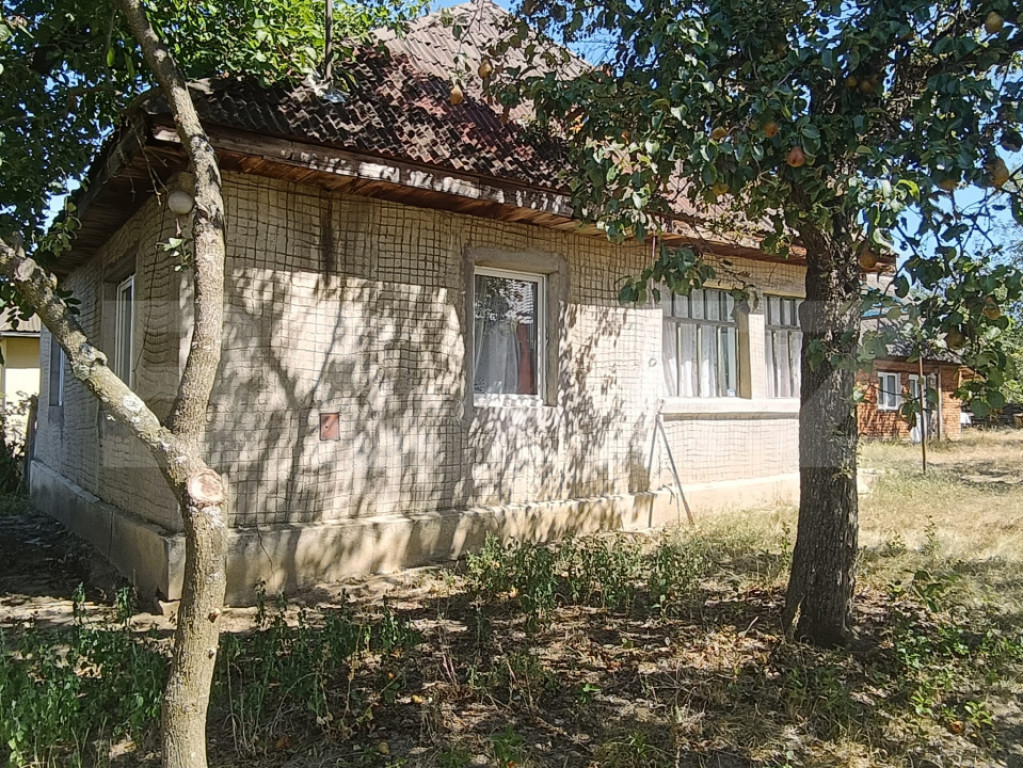 Casa 2 camere, teren 2200 mp, Homorodu de Mijloc