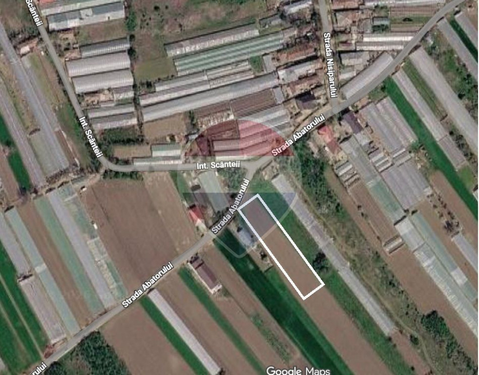 Teren intravilan Clinceni | Oportunitate de Investiție