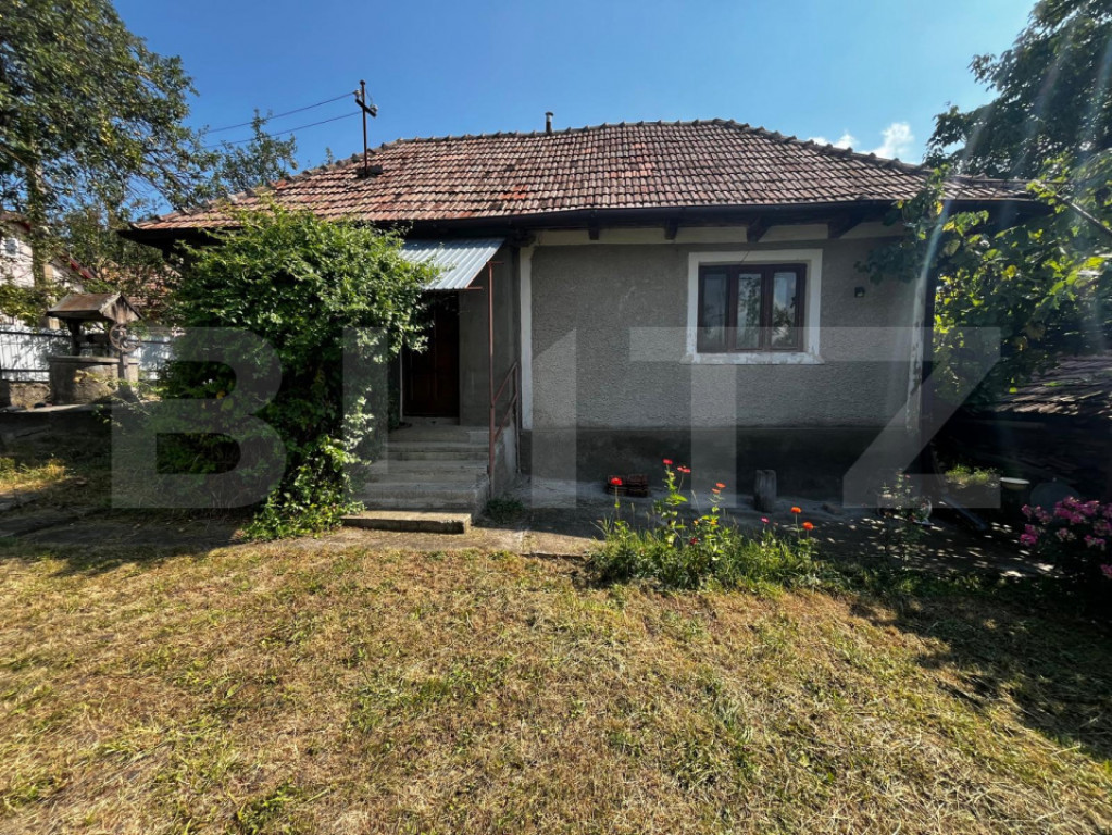 Casa traditionala Rediu, teren generos 1700mp