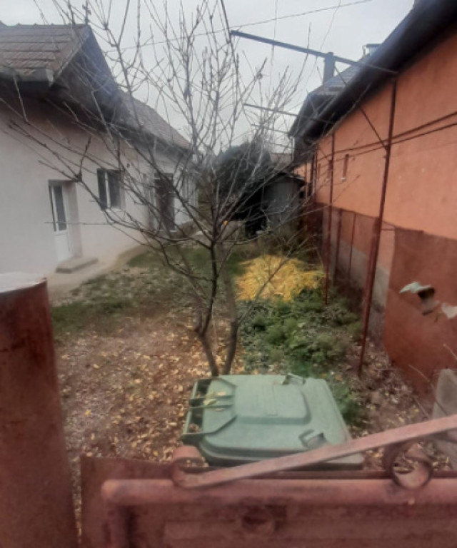 Casa individuala 2 camere 91 mp cu gradina 701 mp zona Muzeu