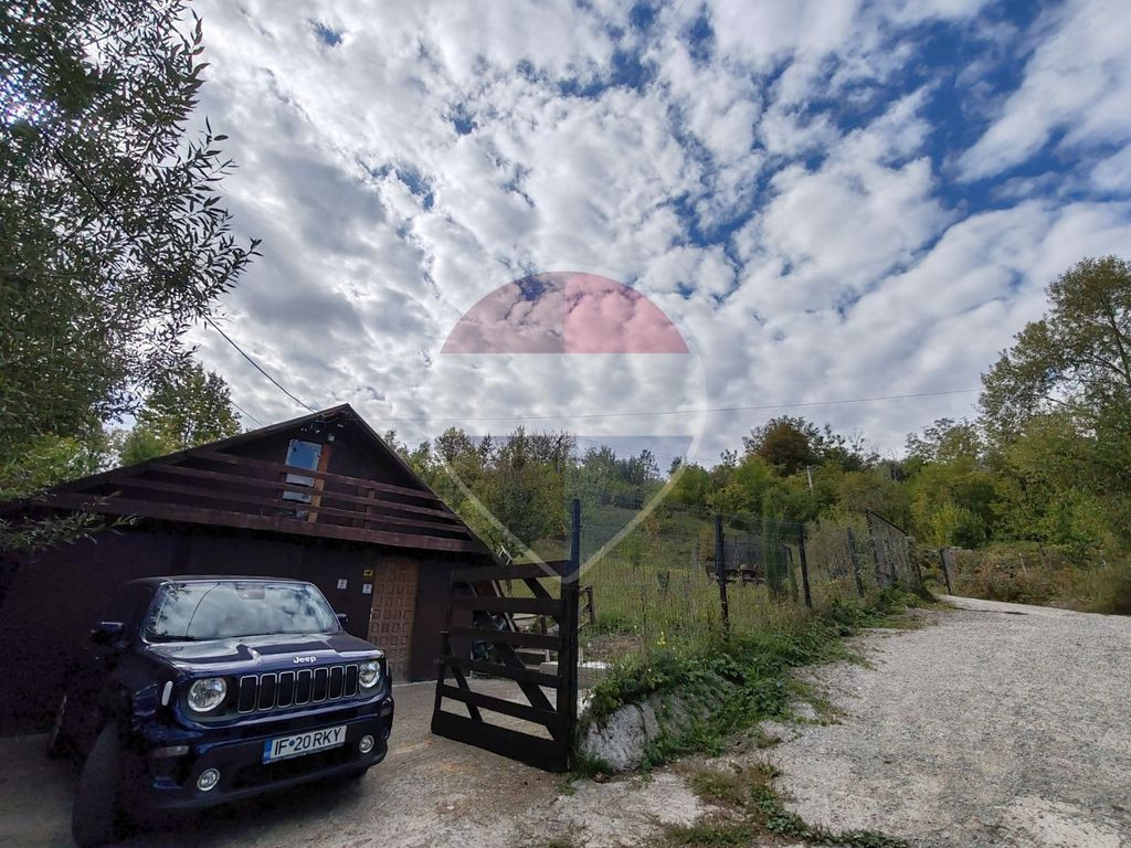 VÂNZARE Teren intravilan în Provița de Jos