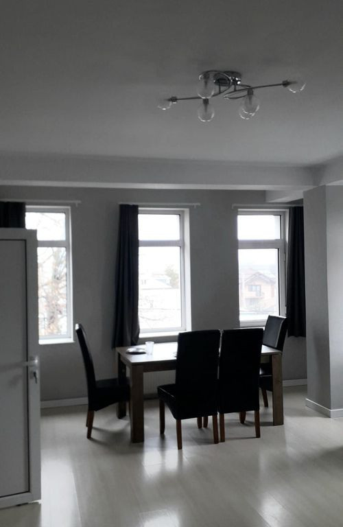 De inchiriat 2 apartamente cu 2 camere, etaj 1/2, strada ...