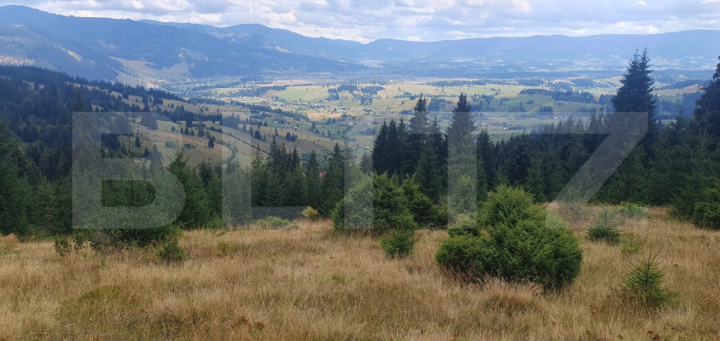Teren pasune impadurita 42.152 mp, zona Saru Dornei - Vatra
