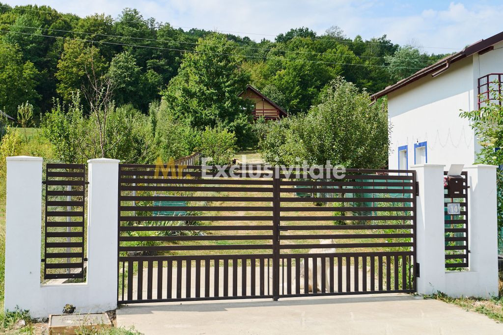 Doua CASE in aceeasi curte–BABANA, ARGEȘ | 1.485 MP TEREN