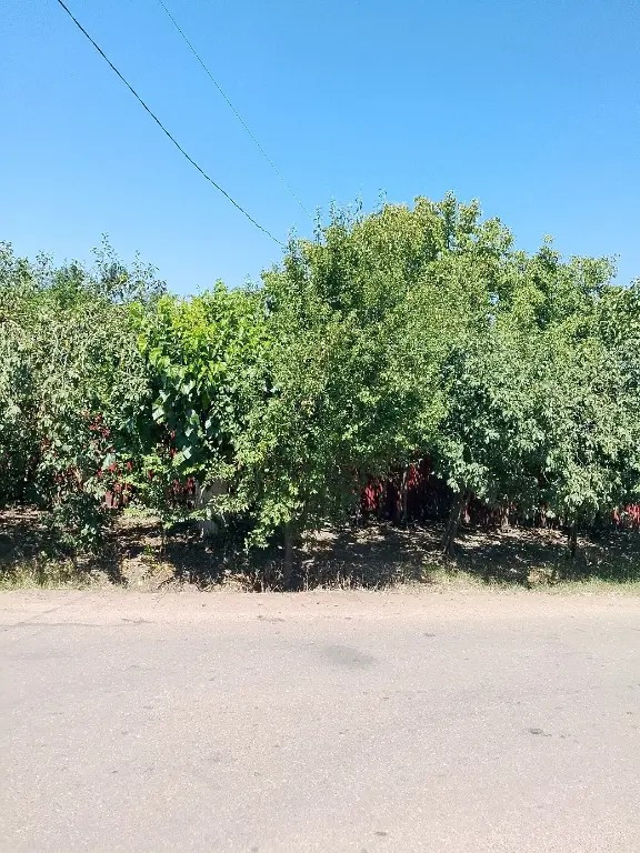Vand casa locuibilă Izvoarele