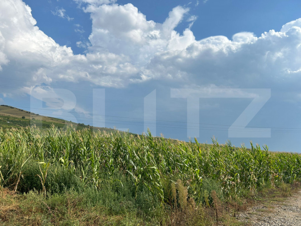 Teren de vânzare – 4 parcele cu PUZ, ideale pentru constr