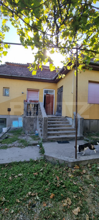 Casa cu doua corpuri, 217.30 mp, curte si gradina, zona Viis