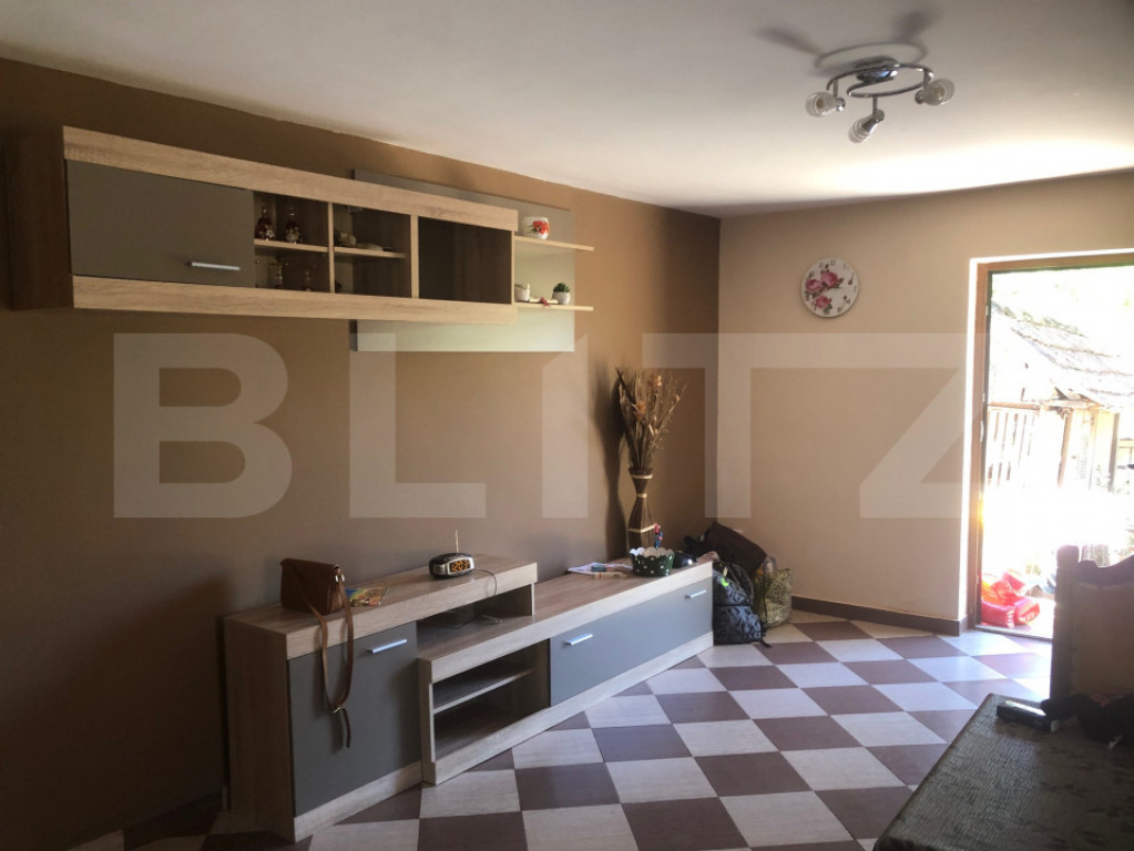 De vânzare doua case intr-o curte, teren 3700 mp , zona Sup