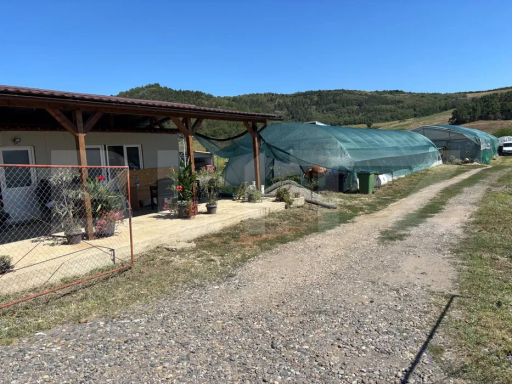 Teren cu sere de vânzare în Ceuașu de Câmpie!