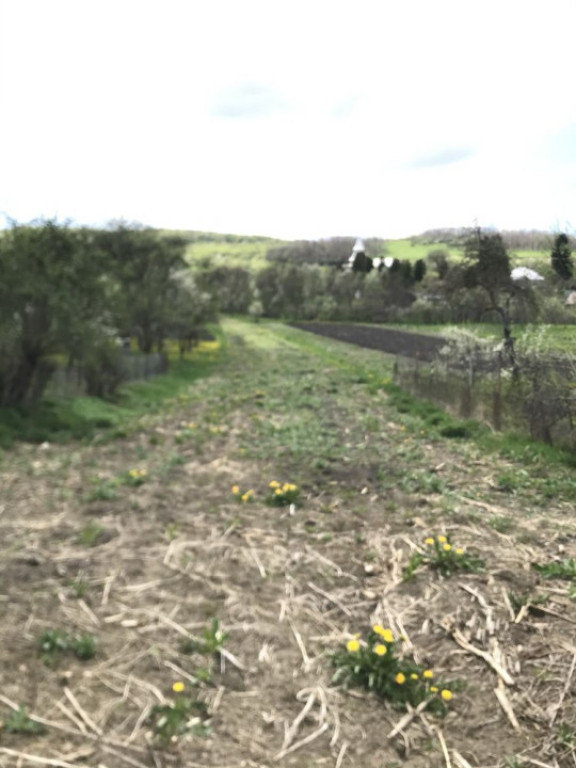 Teren intravilan 1.900 mp – Măcicașu, Chinteni