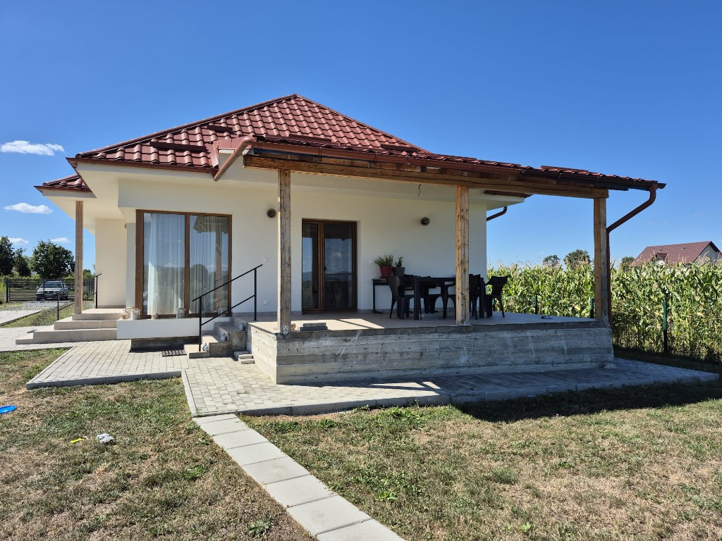 Chechis ,casa noua, 12 ari teren