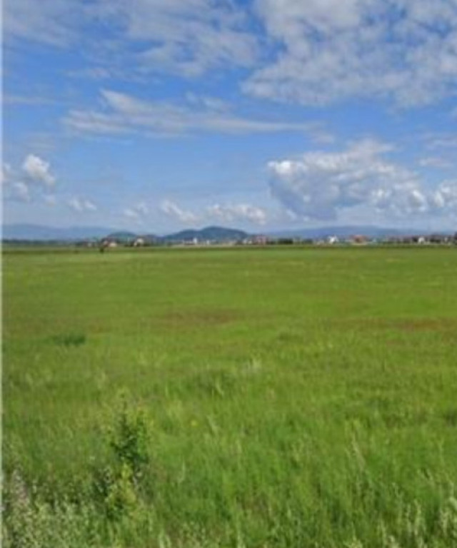 Teren intravilan 1.440mp pretabil duplex | Floresti