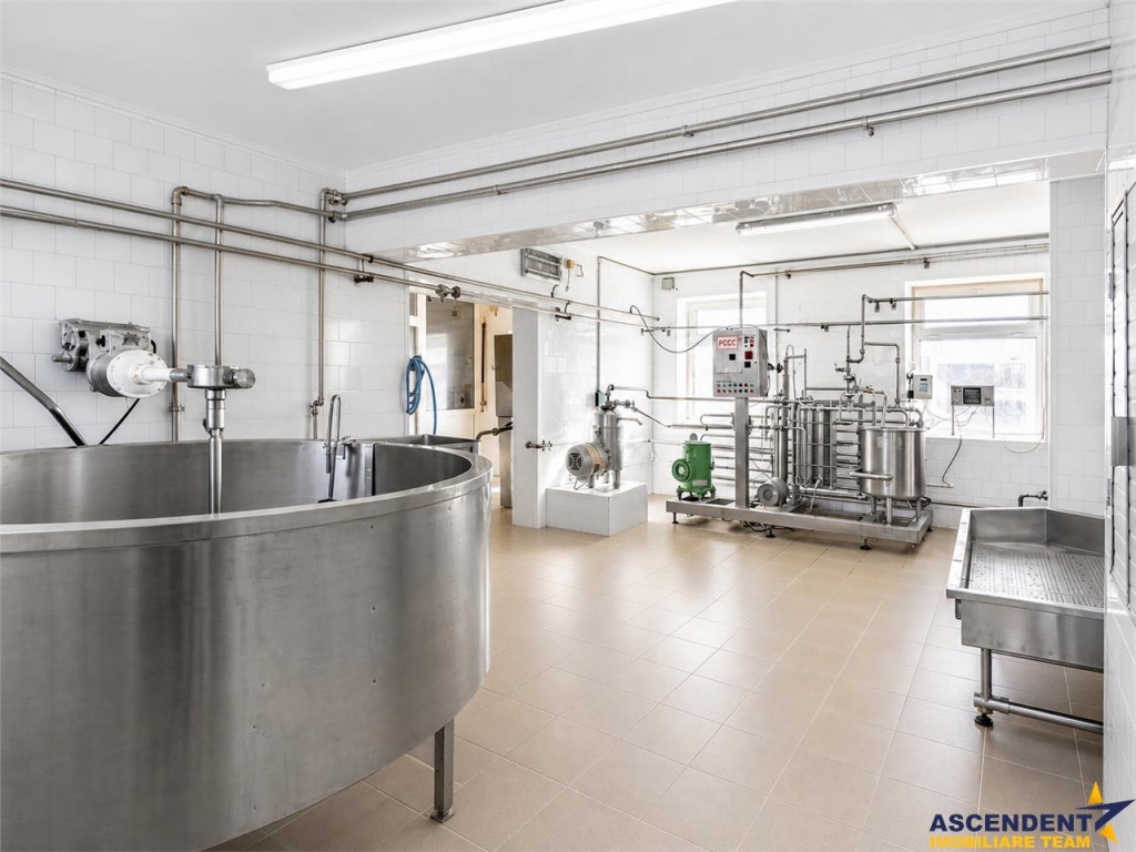 Unitate de procesare alimentara:potential industrial investi